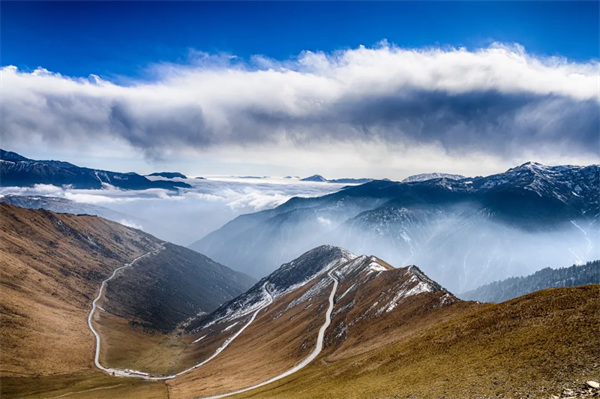 1762140825496501.jpg wx_fmt=jpeg&tp=webp&wxfrom=5&wx_lazy=1.jpg